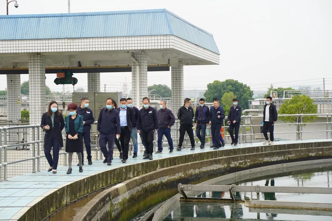 民革德陽市委調研德陽發(fā)展集團